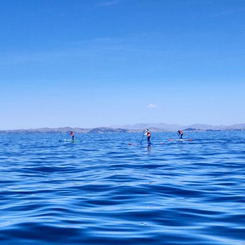 DAY 4, Peruvian lake coast