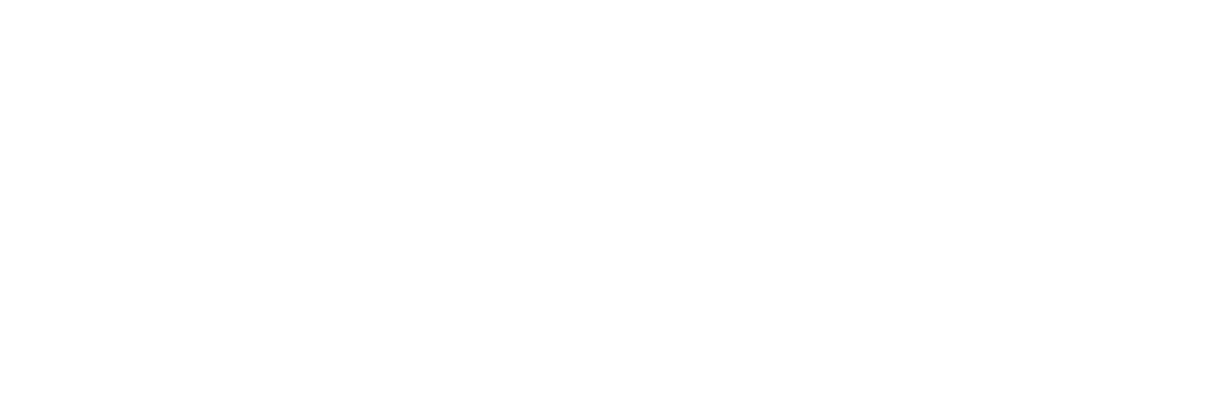 Visionar The Art of Travel Logo